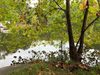0 Everett Drive / Forsyth Circle photo